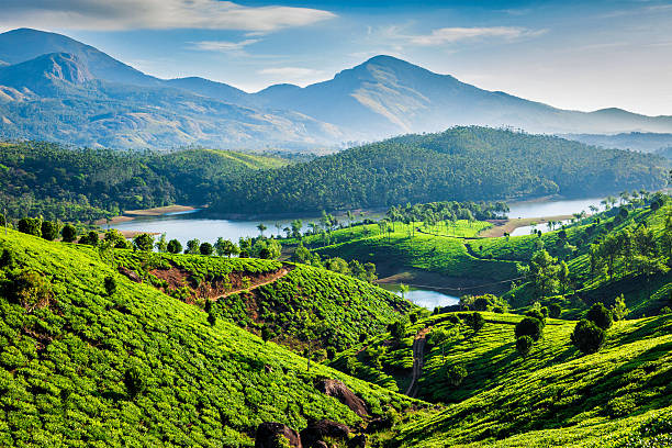 Kerala Travel Guide – Nature, Backwaters & Serenity